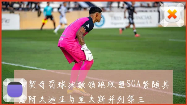 东契奇罚球次数领跑联盟SGA紧随其后阿夫迪亚与里夫斯并列第三